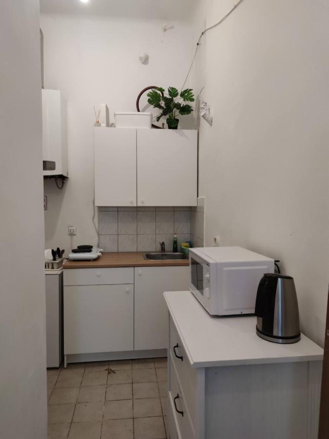 Room With Privat Shower In 3 Rooms Apartment Vienna Luaran gambar
